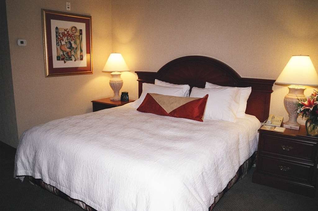 Hilton Garden Inn Kitchener/Cambridge Zimmer foto